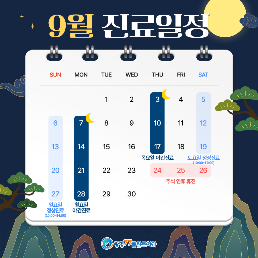 진료일정